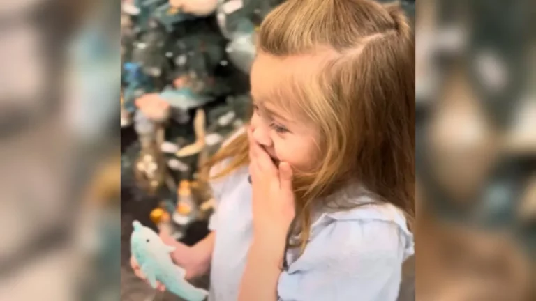 Little Girl’s Excitement While Looking At Christmas Decorations Is Contagious