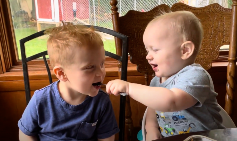 Sibling Love: Cute boy feeding his brother