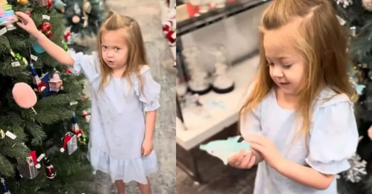 Little Girl’s Reactions to Store’s Christmas Ornaments Are Too Cute to Miss