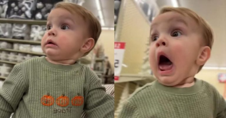 Child’s Hilarious, Side-Splitting Reaction to Christmas Decorations