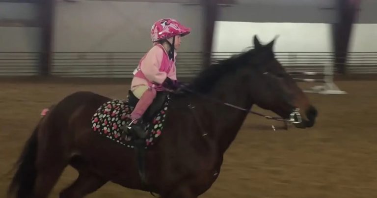 5-year-old proves she’s 1 in a million taking horse on obstacle course with ease