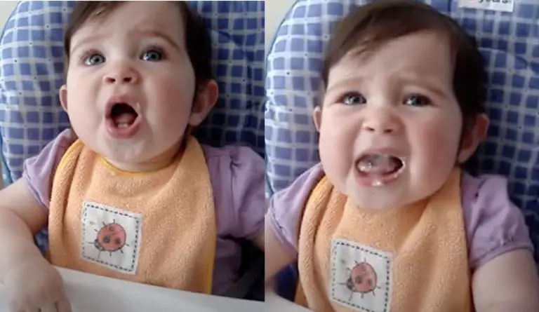 Baby Lana’s Hilarious Reaction to Trying Cottage Cheese for the First Time