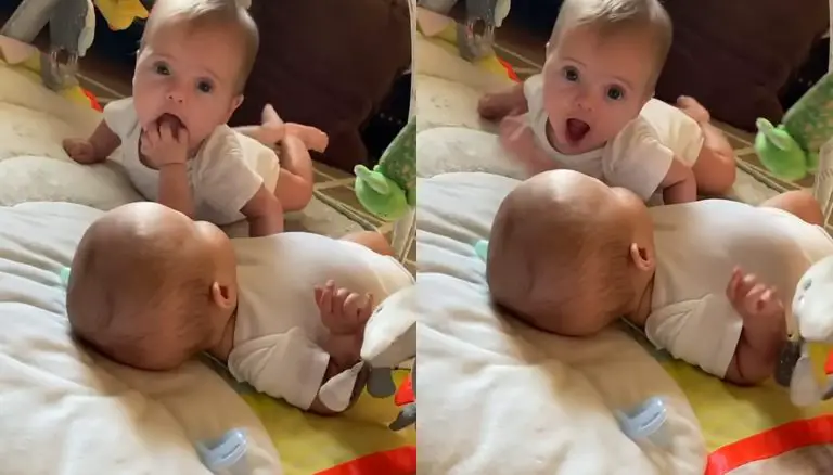 Double the Fun: Twin Baby Girls at Play