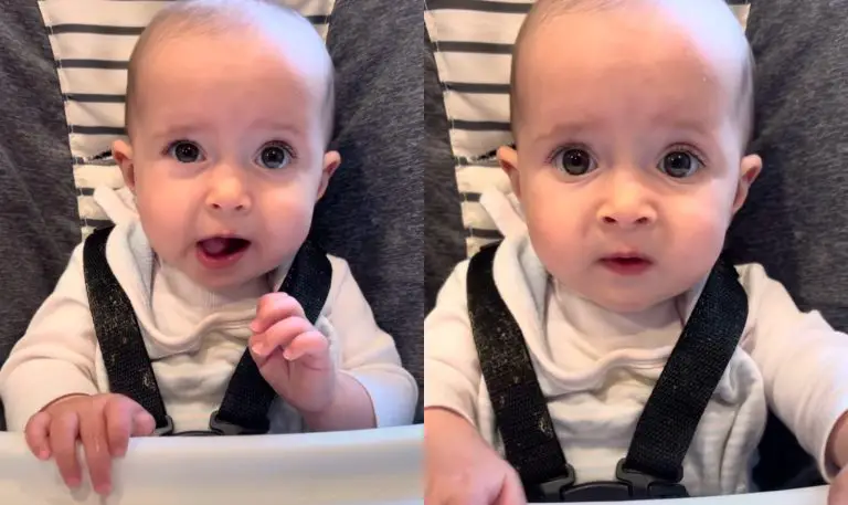 Seeing Granny Smith try an apple for the first time is priceless; that face says it all!